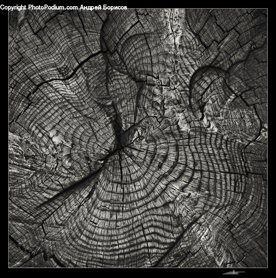 Art, Modern Art, Fractal, Ground, Soil