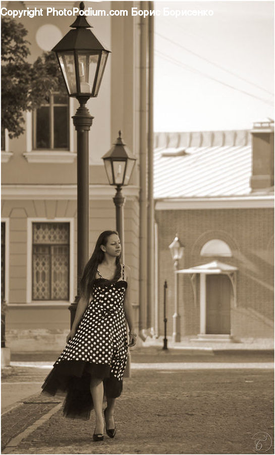 Lamp Post, Pole, Plant, Potted Plant, Polka Dot, Arch, Column