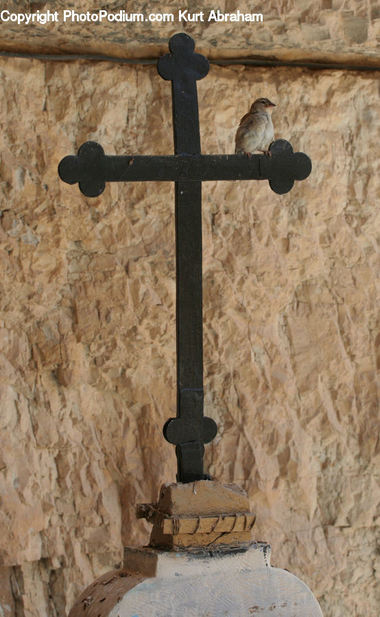 Cross, Crucifix, Bird, Sparrow, Wren, Finch, Plumbing