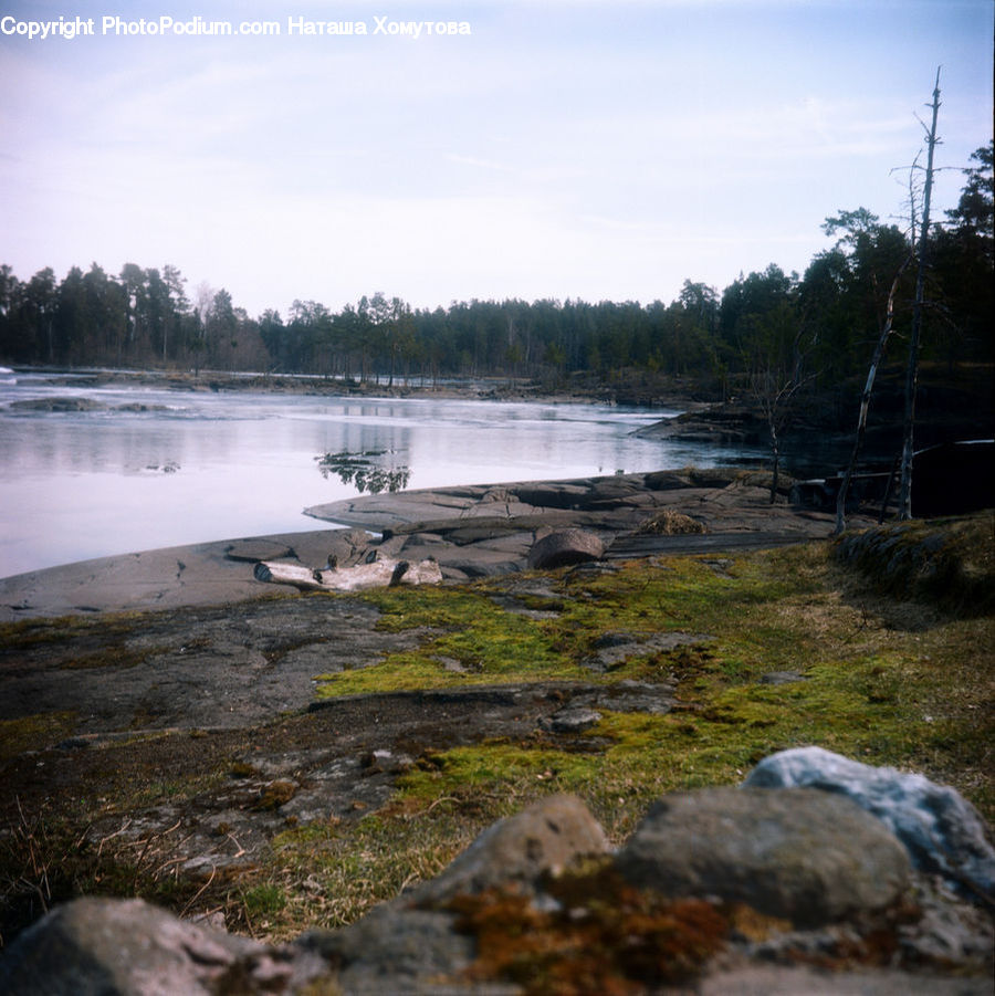 Forest, Vegetation, Coast, Outdoors, Sea, Water, Land