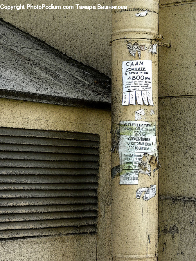 Cosmetics, Deodorant, Flyer, Poster, Brochure, Birch, Tree