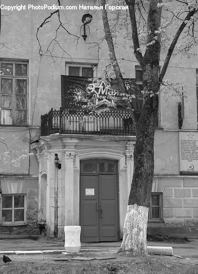 Window, Plant, Potted Plant, Tomb, Column, Pillar, Alley