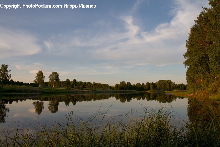 Land, Marsh, Outdoors, Swamp, Water, Nature, Lake