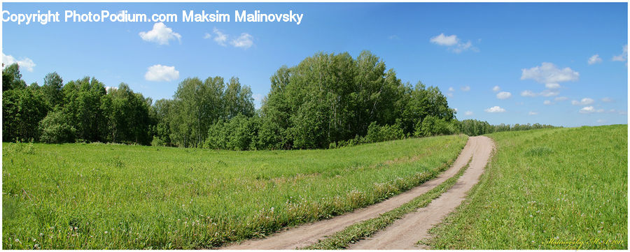 Dirt Road, Gravel, Road, Field, Grass, Grassland, Land