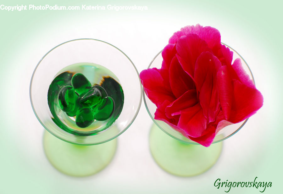 Blossom, Carnation, Flower, Plant, Alcohol, Beverage, Cocktail