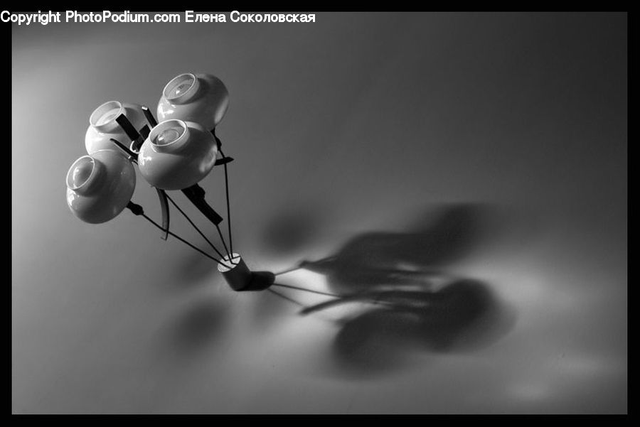 Electronics, Headphones, Headset, Anther, Flower, Petal, Plant