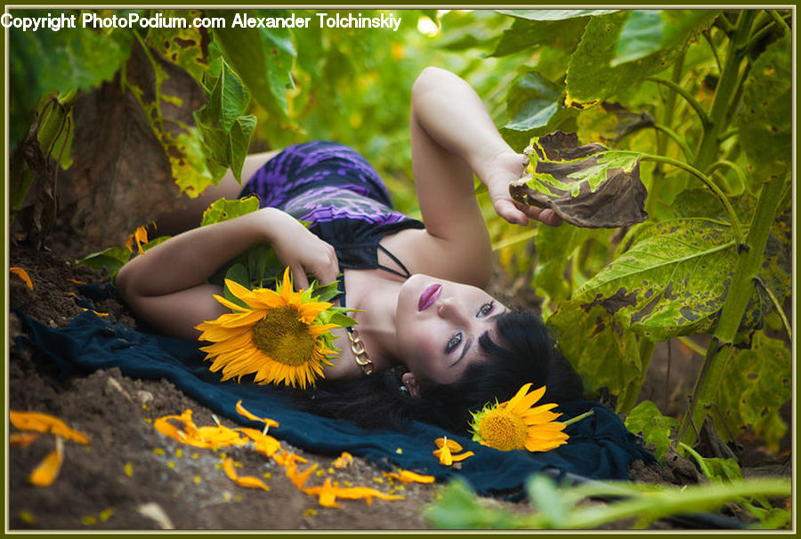 Blossom, Flora, Flower, Plant, Sunflower, Female, Girl