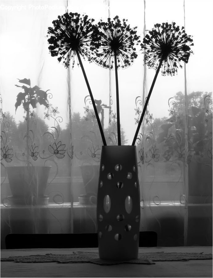 Apiaceae, Blossom, Plant, Bag, Jar, Porcelain, Vase