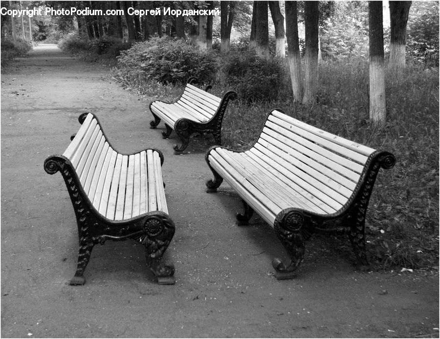 Bench, Park Bench