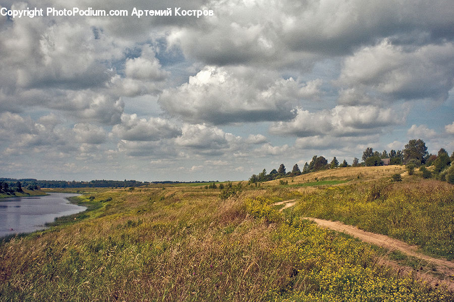 Field, Grass, Grassland, Land, Outdoors, Cloud, Cumulus