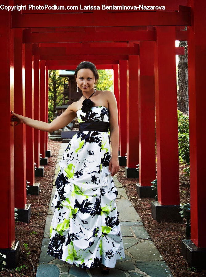 People, Person, Human, Plant, Potted Plant, Clothing, Dress
