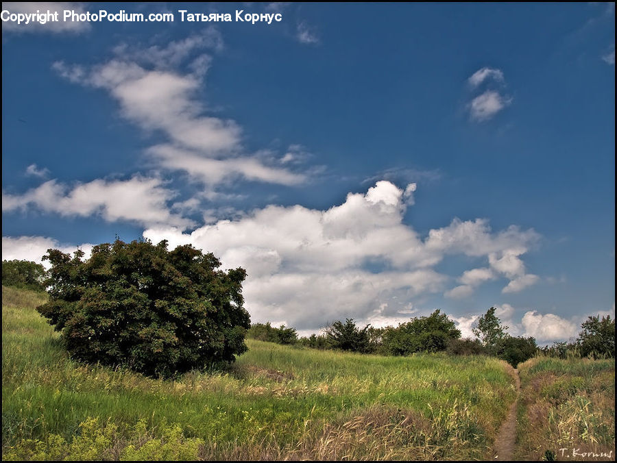 Cloud, Cumulus, Sky, Field, Grass, Grassland, Land