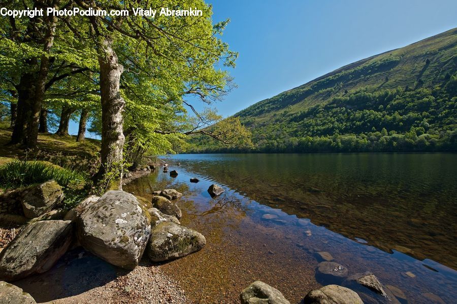 Rock, Outdoors, River, Water, Plant, Tree, Vegetation