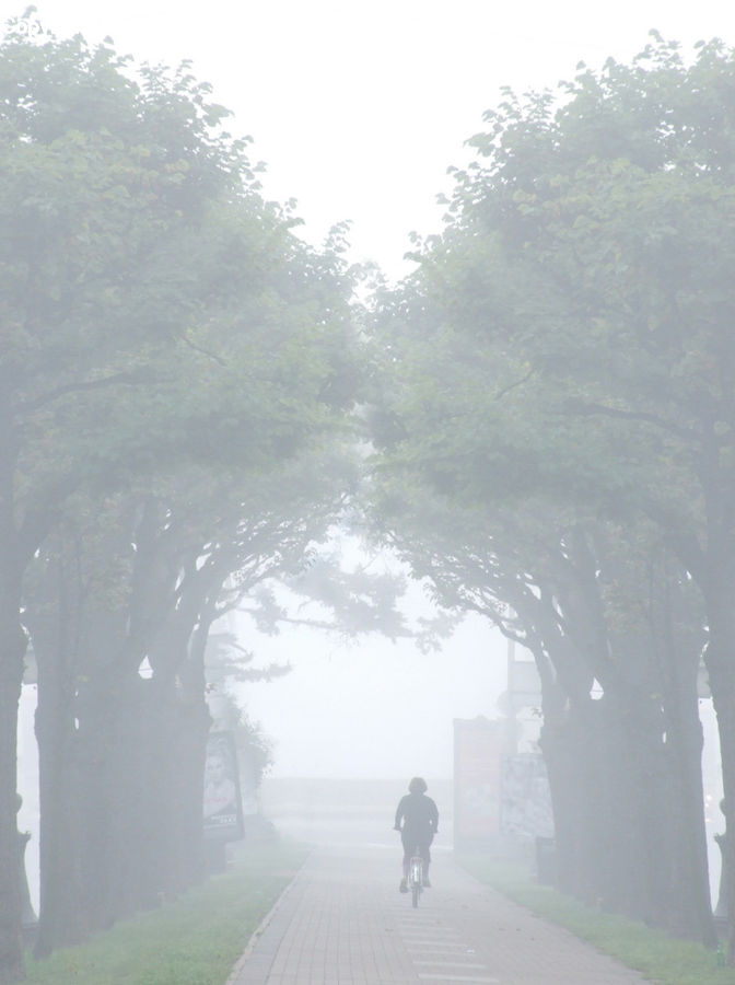 Fog, Mist, Outdoors, Exercise, Fitness, Jogging, Dirt Road