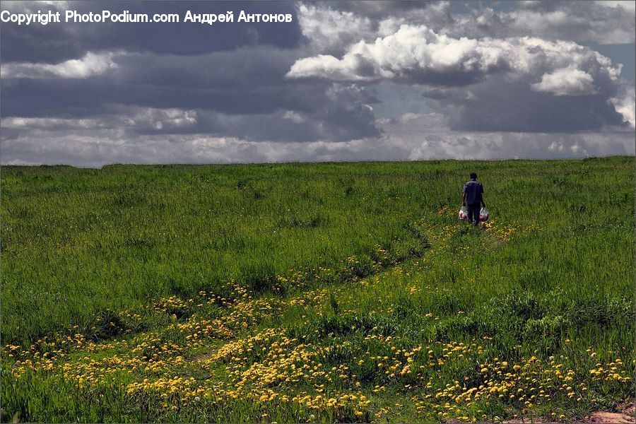 Field, Grass, Grassland, Land, Outdoors, Plateau, Cloud
