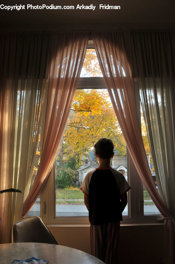 Human, People, Person, Curtain, Home Decor, Plant, Potted Plant
