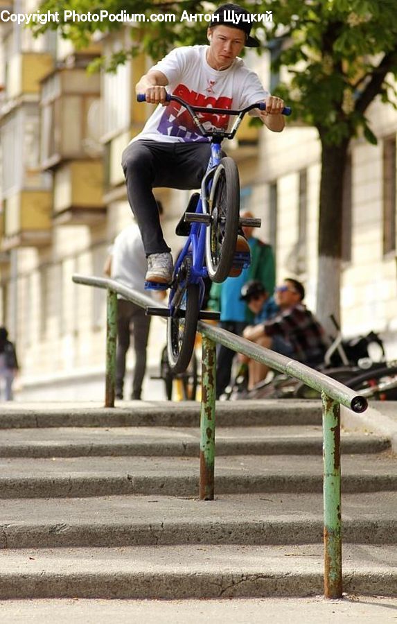 People, Person, Human, Plant, Potted Plant, Bicycle, Bike