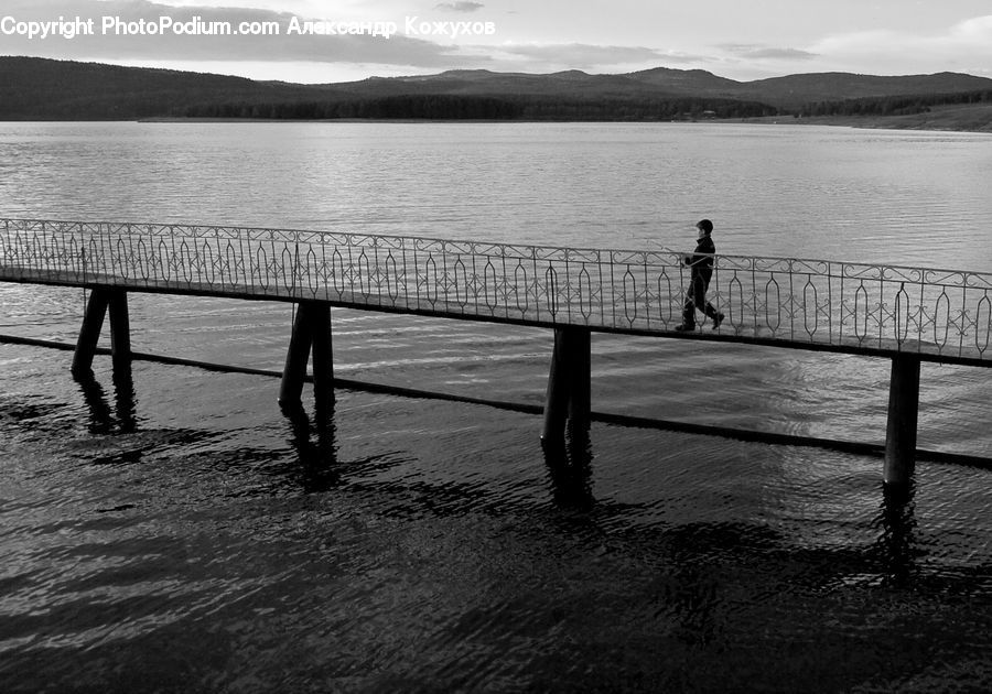 Dock, Pier, Landing, Outdoors, River, Water, Forest