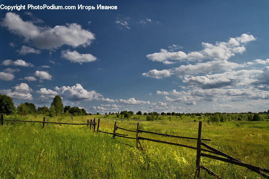 Field, Grass, Grassland, Land, Outdoors, Countryside, Meadow
