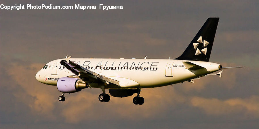 Aircraft, Airplane, Jet
