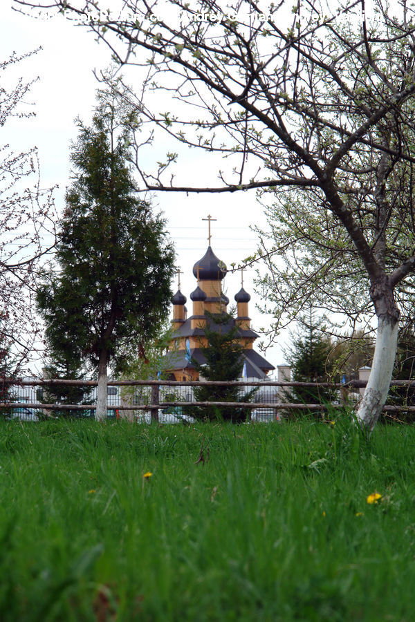 People, Person, Human, Architecture, Pagoda, Shrine, Temple