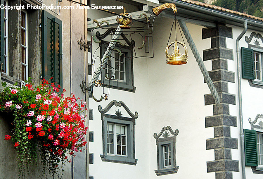 Light Fixture, Balcony, Blossom, Flora, Flower, Geranium, Plant