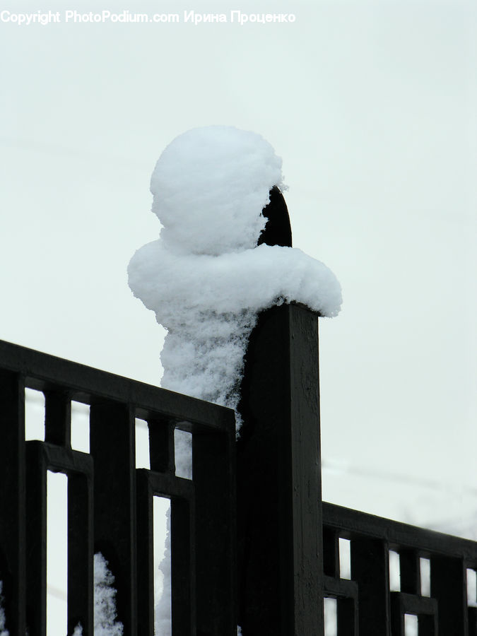 Bird, Cockatoo, Parrot, Ice, Snow, Snowman, Winter