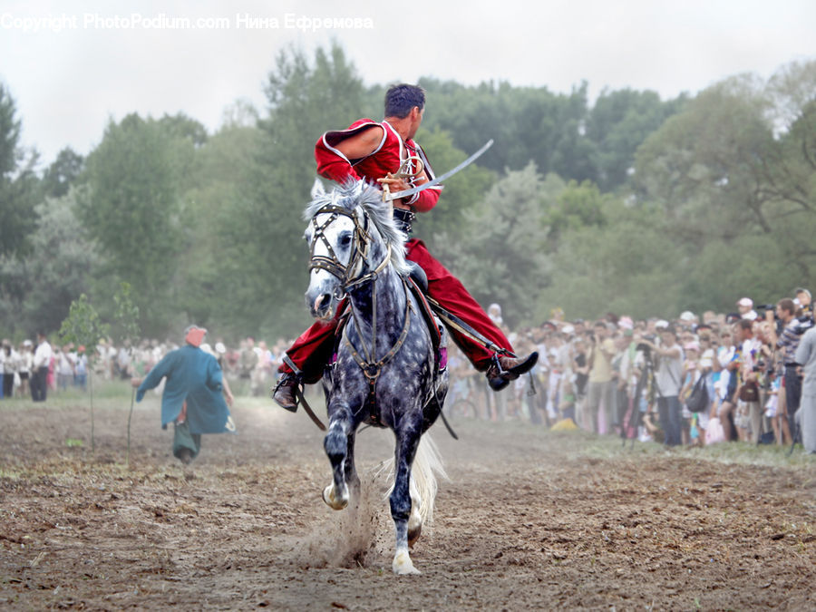 People, Person, Human, Motocross, Motorcycle, Rodeo, Animal