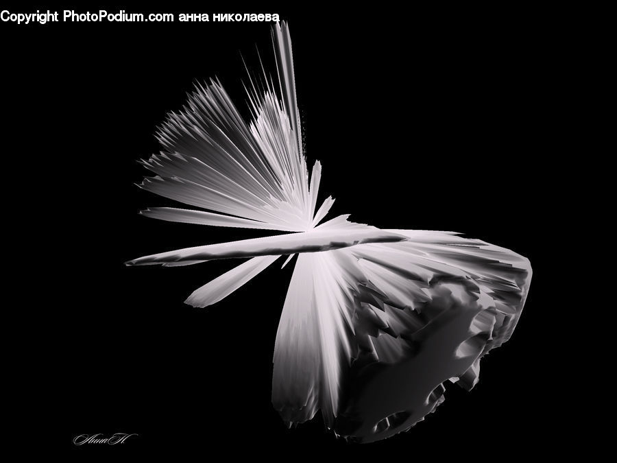 Grain, Seed, Blossom, Flora, Flower, Petal, Plant