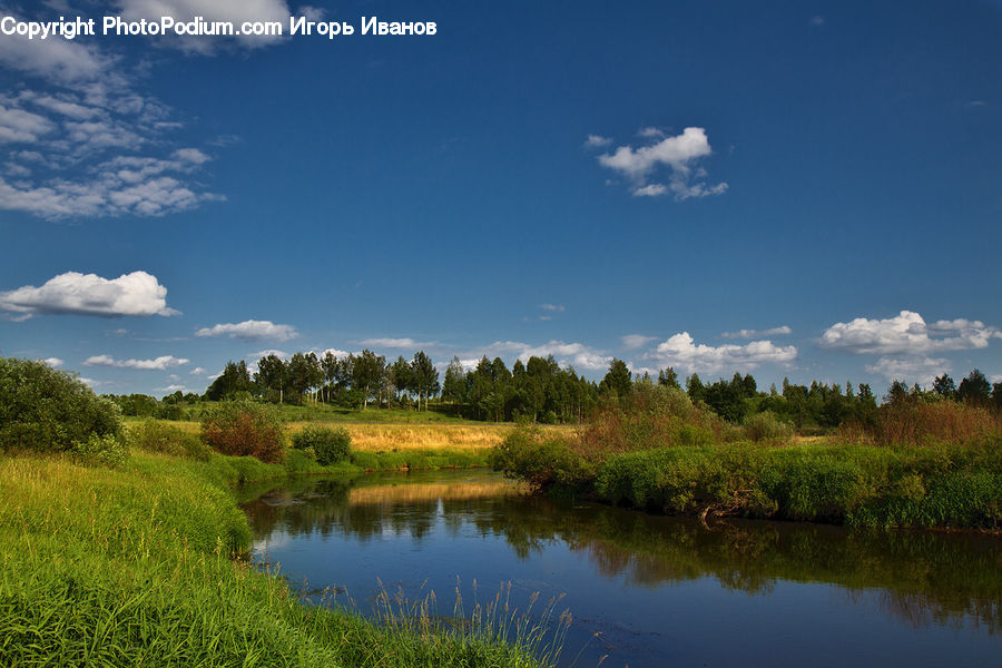 Cloud, Cumulus, Sky, Field, Grass, Grassland, Land