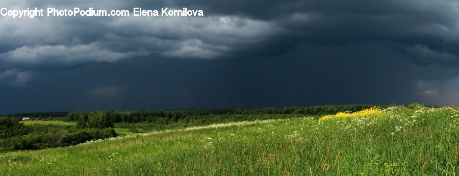 Cloud, Cumulus, Sky, Outdoors, Storm, Weather, Field