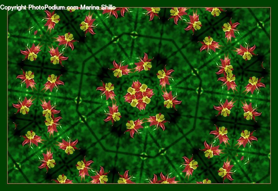 Flora, Flower, Gladiolus, Plant, Cosmos, Home Decor, Quilt