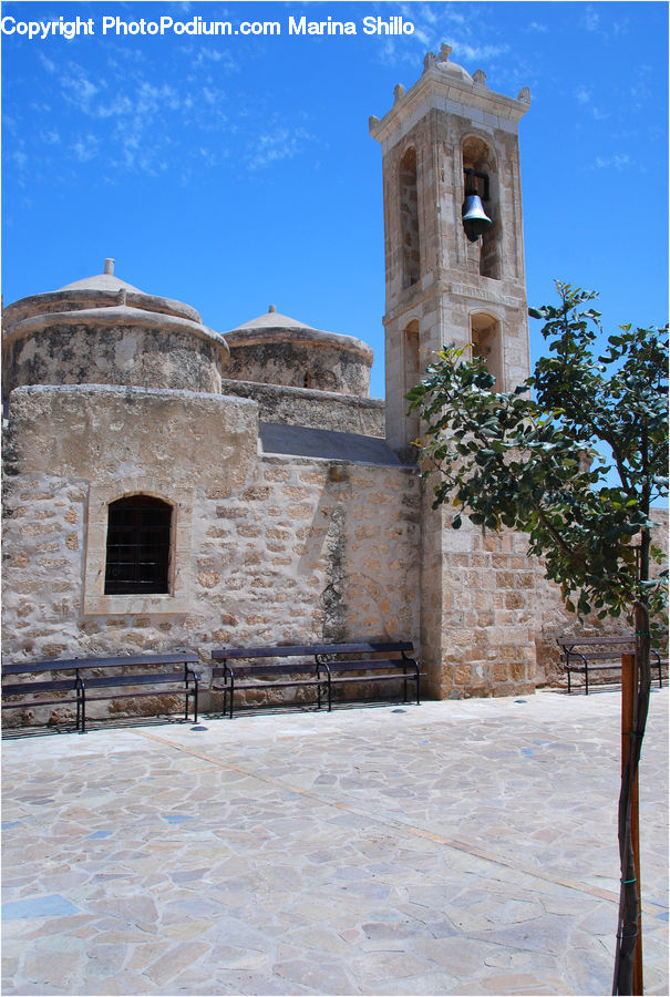 Architecture, Bell Tower, Clock Tower, Tower, Ivy, Plant, Vine