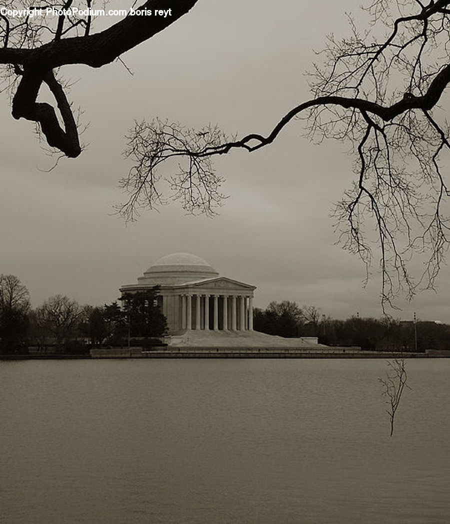 Plant, Tree, Silhouette, Oak, Wood, Gazebo, Water