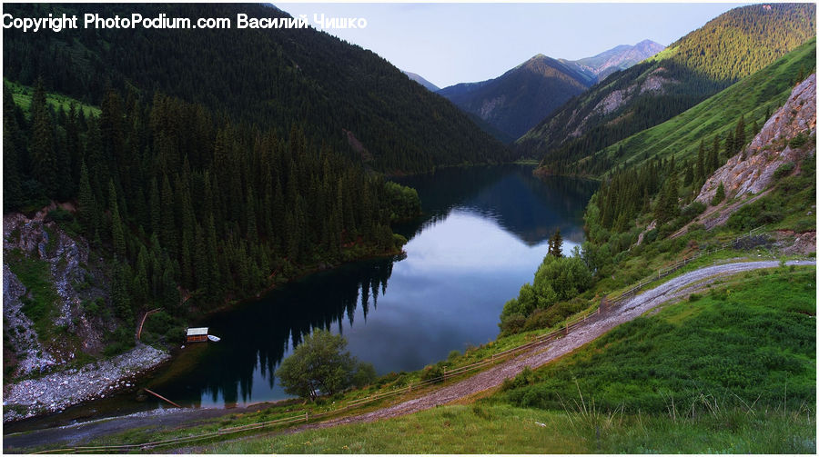 Watercraft, Dirt Road, Gravel, Road, Conifer, Fir, Plant