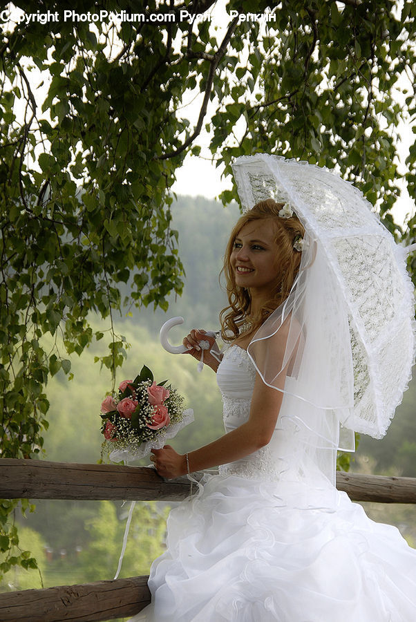 People, Person, Plant, Potted Plant, Human, Bride, Gown