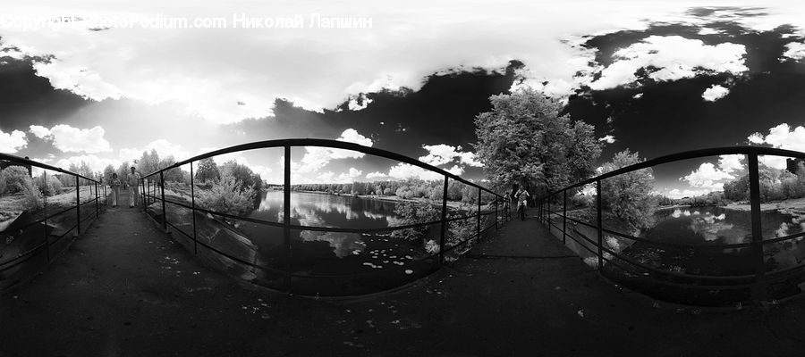 Bridge, Blossom, Flora, Flower, Plant, Silhouette, Tree