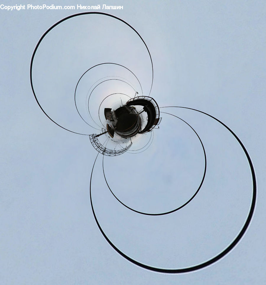 Light Fixture, Arachnid, Garden Spider, Insect, Invertebrate, Spider