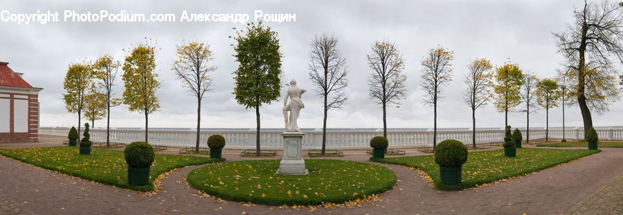 Art, Sculpture, Statue, Conifer, Fir, Plant, Tree
