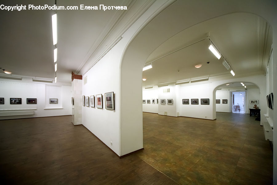 Art, Art Gallery, Lighting, Floor, Flooring, Housing, Indoors