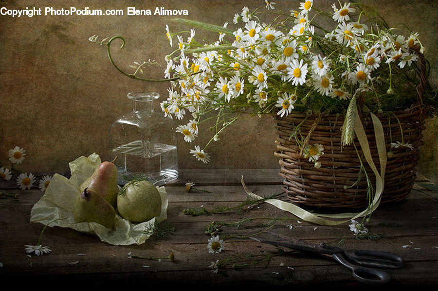 Plant, Potted Plant, Durian, Fruit, Jackfruit, Citrus Fruit, Pomelo