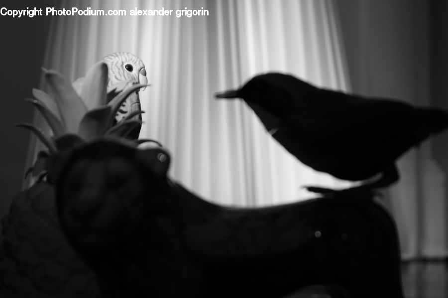 Silhouette, Bird, Blackbird, Parrot, Footwear, Shoe, Face