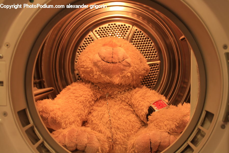 Teddy Bear, Toy, Bowl