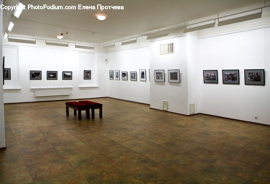 Art, Art Gallery, Floor, Flooring, Dining Table, Furniture, Table