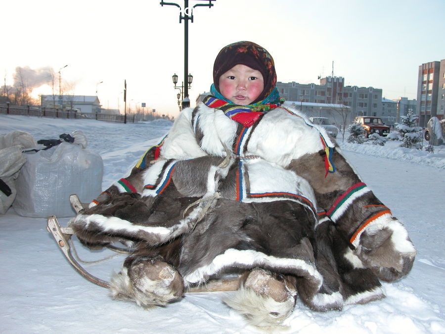 People, Person, Human, Ice, Outdoors, Snow, Animal