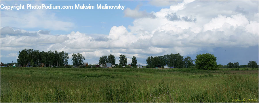 Field, Grass, Grassland, Land, Outdoors, Cloud, Cumulus