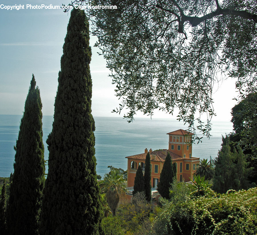 Architecture, Bell Tower, Clock Tower, Tower, Bush, Plant, Vegetation