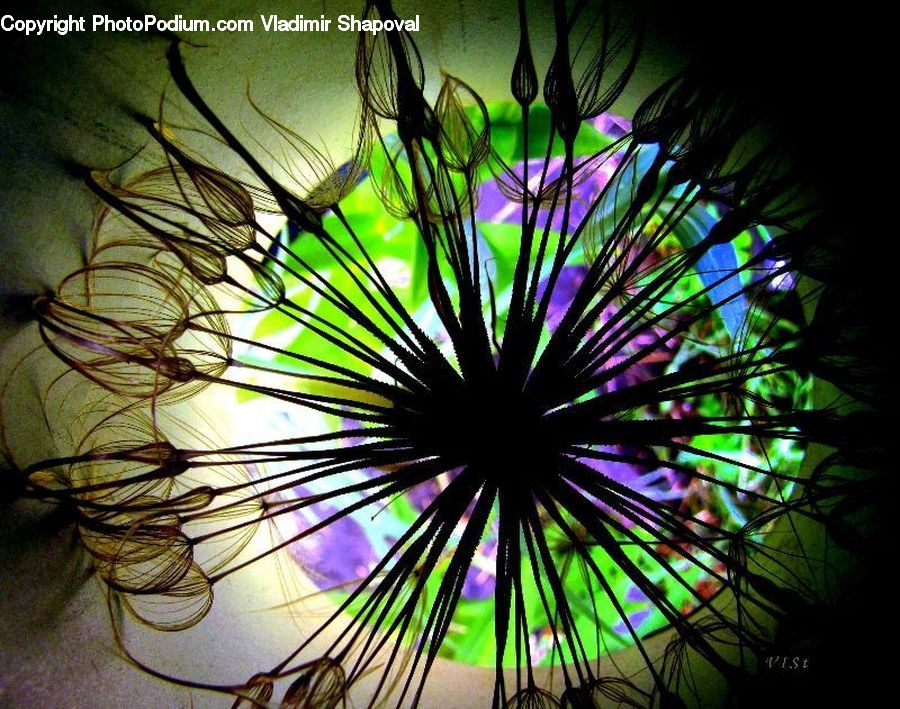 Fractal, Art, Stained Glass, Ferris Wheel, Forest, Jungle, Lighting