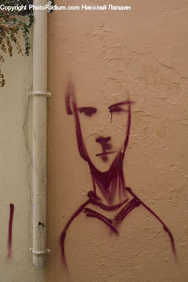 Plant, Vine, Art, Graffiti, Mural, Wall, Drawing