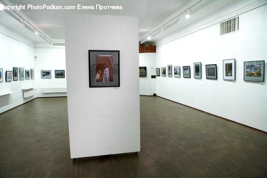 Art, Art Gallery, Hardwood, Stained Wood, Wood, Floor, Flooring